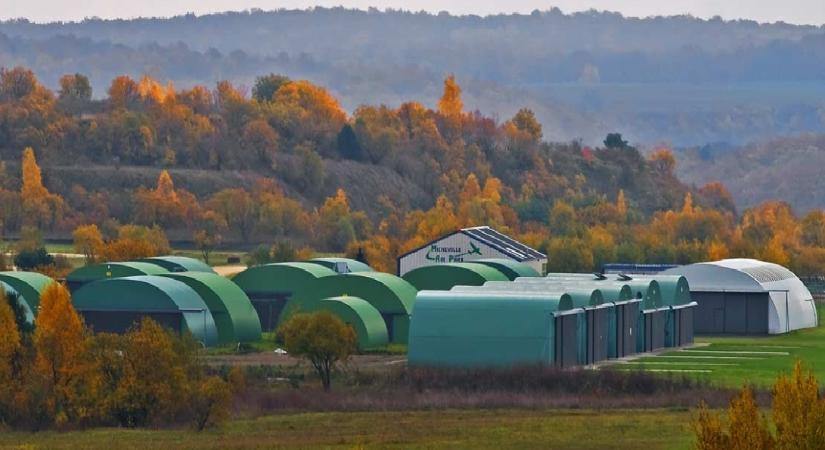 Építőipar: mitől lesz a csarnoképítés környezetkímélő