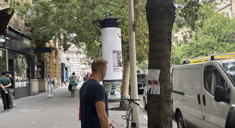 "Nem kérek közös jövőt, összeköltözést" - Megcsalt, ismert, magyar hölgy keres szexpartnert Budapesten: az egész várost kiplakátolta vele - fotók