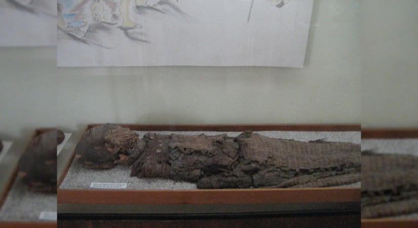 Megfejtették az Atacama-sivatagi múmiák apró agyának titkát