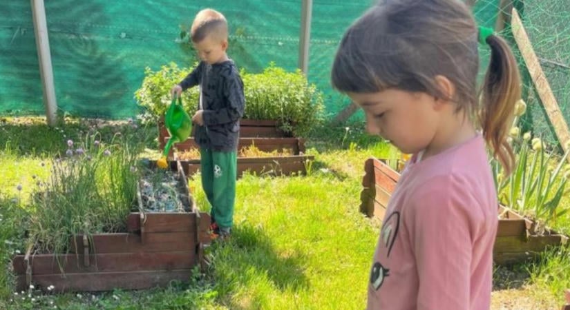 Nemcsak kertészkednek, fejlődnek is: országos díjat nyert az orosztonyi óvodakert