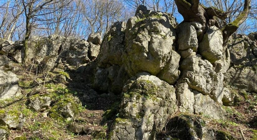 A Csengő, a Bongó és a többiek – Túráztál már a bakonyi zsombolyok rejtélyes lejáratainál?