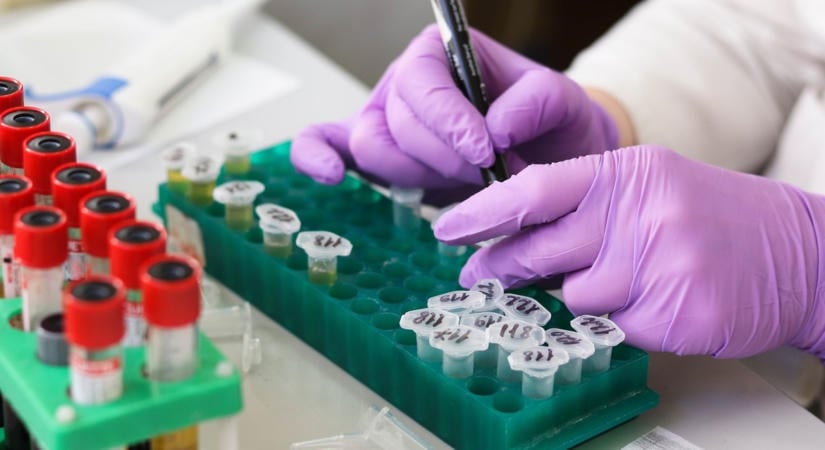 Ez nem hangzik jól: tömeges karantént rendeltek el egy pestiskutató tisztázatlan halála után