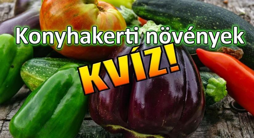 Kvíz: Felismered a konyhakerti zöldségeket a levelük alapján?