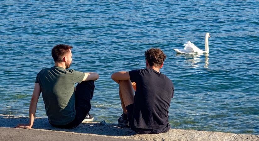 Ugyanúgy választunk barátokat, mint ahogy az ősemberek tették