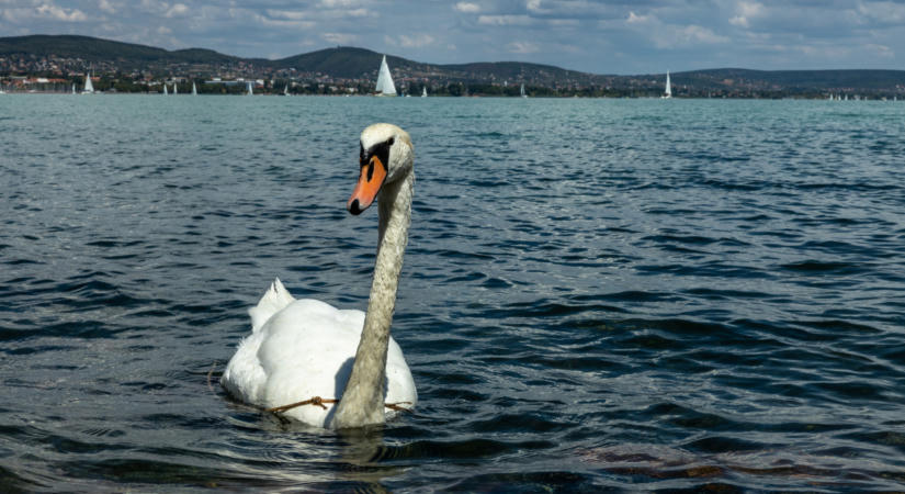 Elhangzott, amitől sokan rettegtek: mediterrán időbeosztásra kellene áttérni a Balatonnál