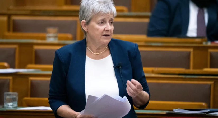 Lannert Juditék azt kérik, a pedagógusok legalább 80 százaléka végezzen el egy gyors képzést az anafilaxiás sokkról