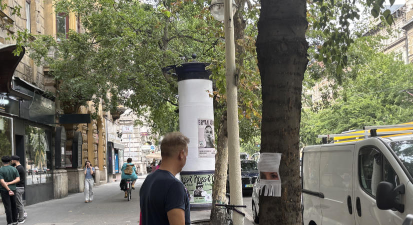 "Nem kérek közös jövőt, összeköltözést" - Megcsalt, ismert, magyar hölgy keres szexpartnert Budapesten: az egész várost kiplakátolta vele - fotók