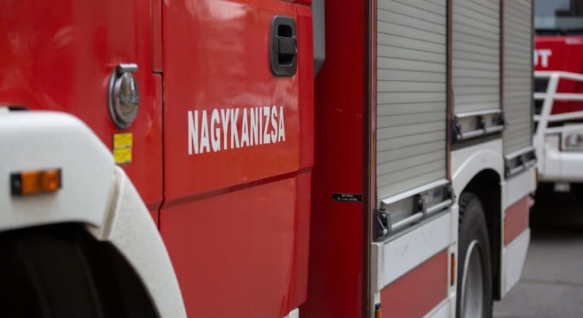 Lódarázs-fészket távolítottak el egy nagykanizsai iskola ereszéből