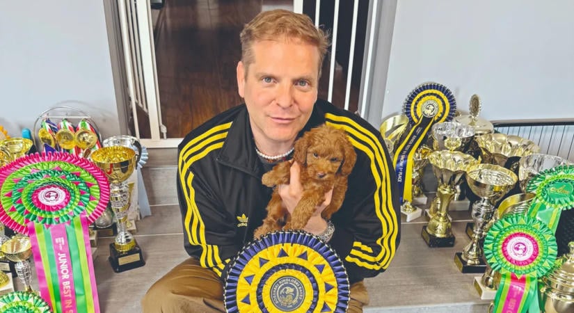 Kajdi Csaba kutyáiról vallott: „Életünk legjobb döntése volt”