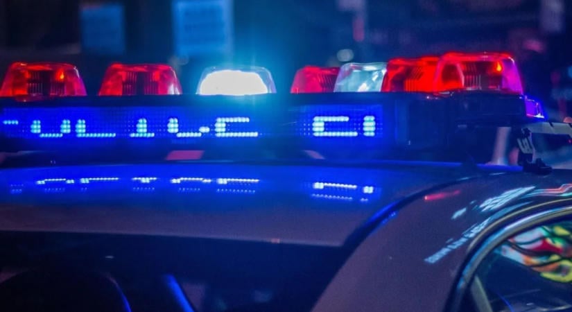 Hétéves fiú jelentkezett a rendőröknél egy brutális gyilkosság után – azt mondta, ő szúrta le a nagynénjét