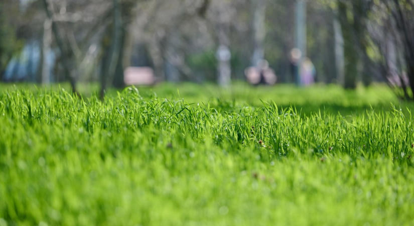 A tudósok 2000 pár alsóneműt temettek föld alá: 2 hónappal később megerősítést nyertek legrosszabb félelmeik