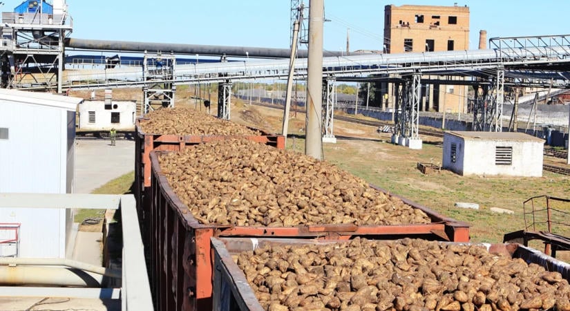 Megkezdte a cukorrépa vasúti szállítását a Rail Cargo Hungaria Kaposvárra