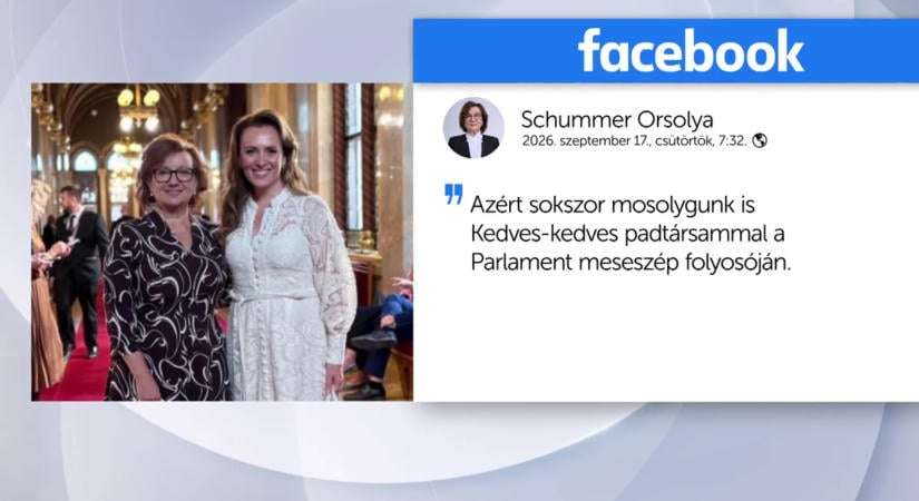 Más helyett szavazott a tiszás Schummer Orsolya: Bóka János a Házbizottság összehívását kéri