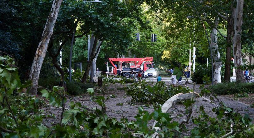 Viharkárok: Így fizet a leggyorsabban a biztosító, de van egy-két alapszabály