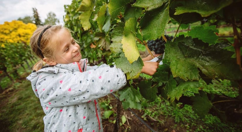 Alaposan megtréfál minket az időjárás pénteken! Mutatjuk, mire várhatunk a hét utolsó munkanapján!