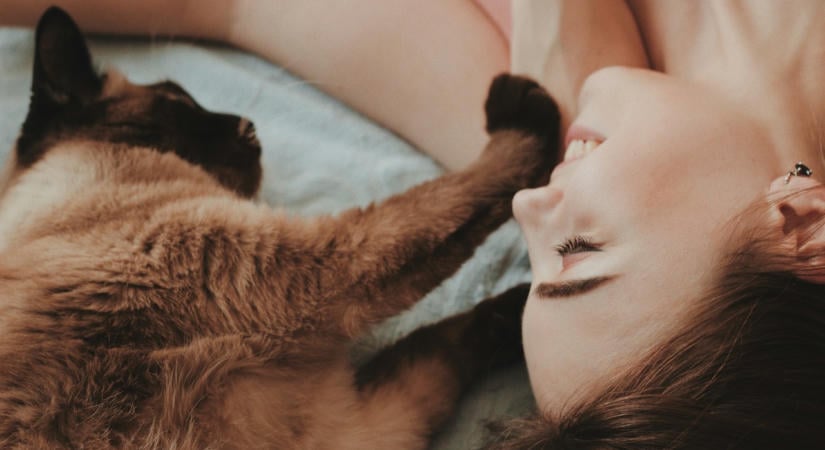 Ezt csinálja a macskád, amikor igazán hiányzol neki