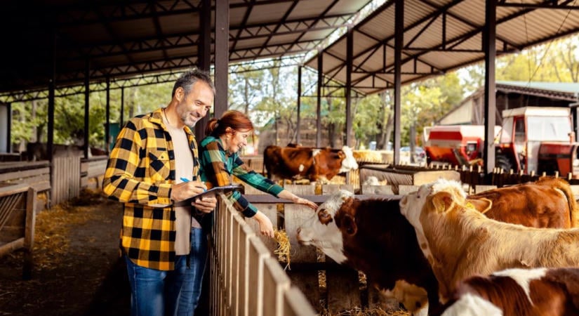 Amikor az adatból döntés lesz – az agrárium új digitális korszaka