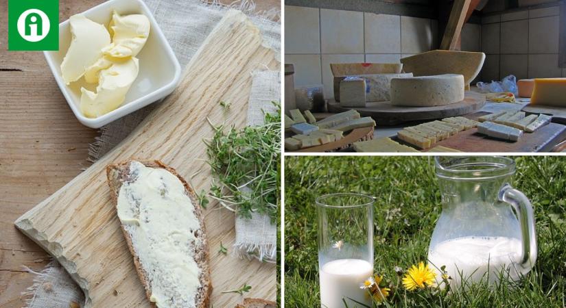 Gyanús áremelkedés? Vizsgálatot indított a tejpiacon a GVH