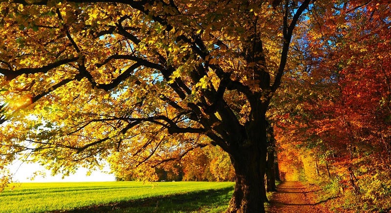 A legújabb előrejelzés szerint ilyen lesz az időjárás szeptember végén és októberben