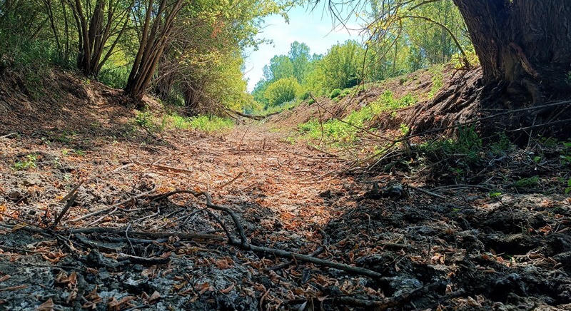 „A műtét sikerült, de a beteg meghalt” – kiszáradt a Tarna, súlyos figyelmeztetést adott ki a Bükki Nemzeti Park Igazgatósága