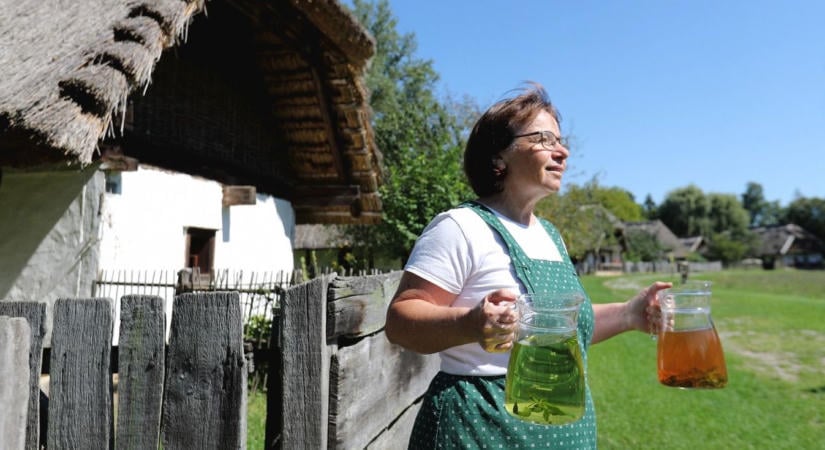 Hagyd meg másnak a drága készítményeket: ezek a tuti immunerősítők őszre