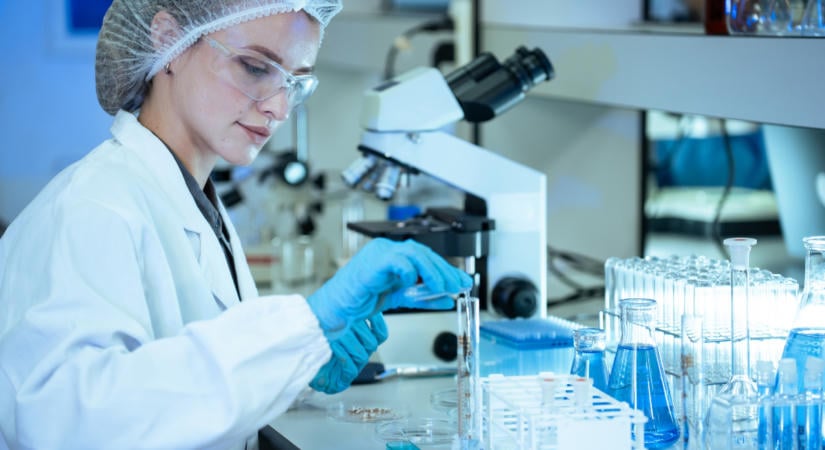 Megnyílnak a laborok, ahová máskor nem lehet bejutni: itt a Kutatók Éjszakája 2026 programja
