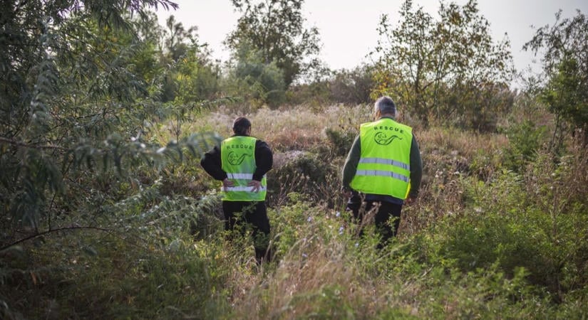 Keresik a pécsi születésű 13 éves fiút, a biciklije megvan, a gyermek nincs