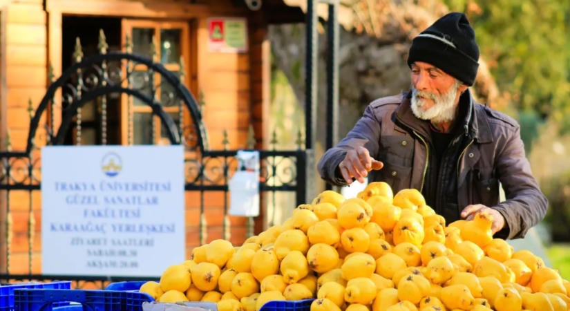 Birsalma: 7 ok, amiért most érdemes enni belőle