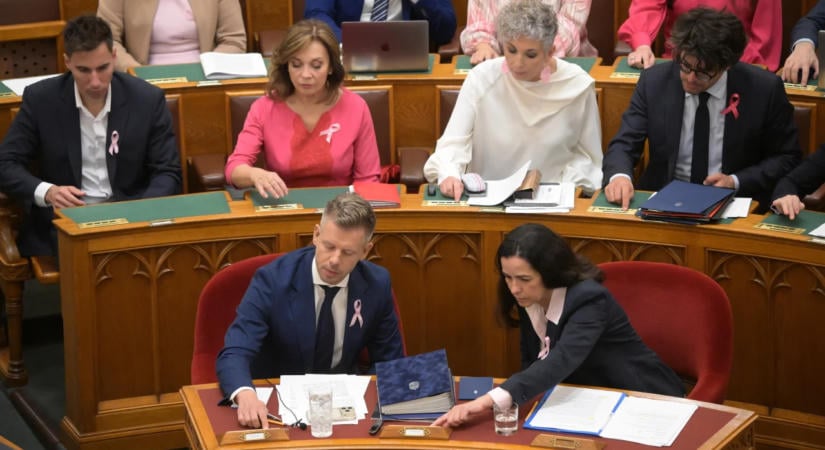 Magyar Péter bírálta a gyermekvédelmi törvény elleni szavazatokat