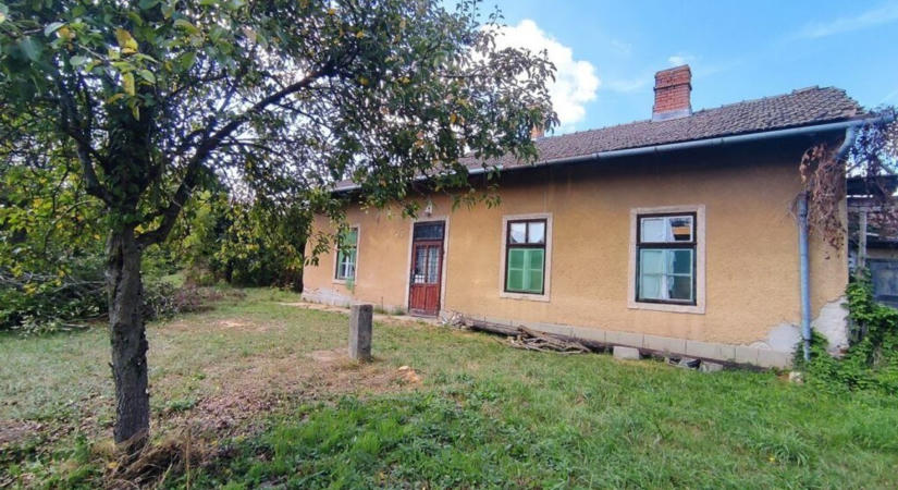 Elképesztő, mi rejtőzött a gaz alatt a somogyi vasútállomáson