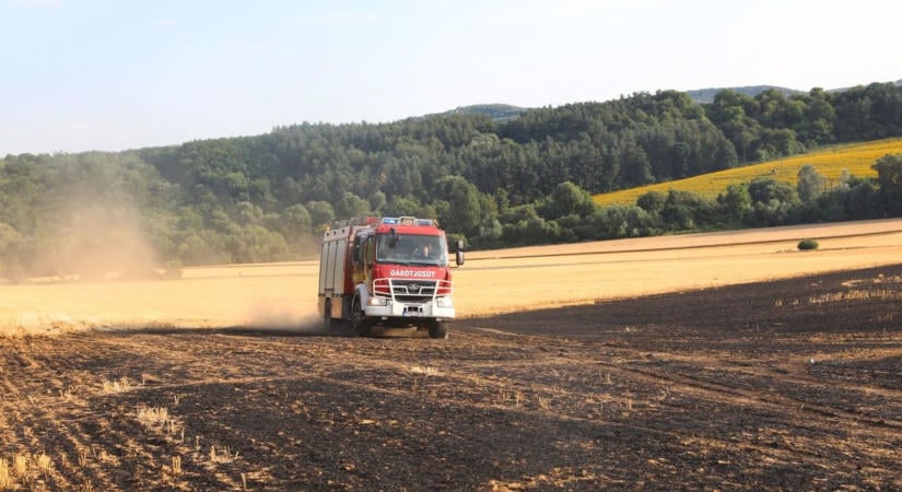 Hatalmas tűz Felsőtárkánynál: házakat is veszélyeztetnek a lángok