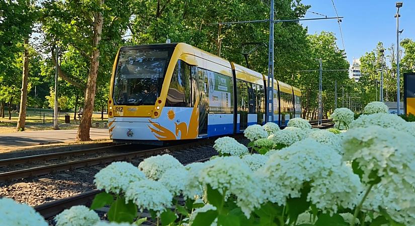 Villamospálya munkáira írt ki nyílt beszerzési eljárást a DKV