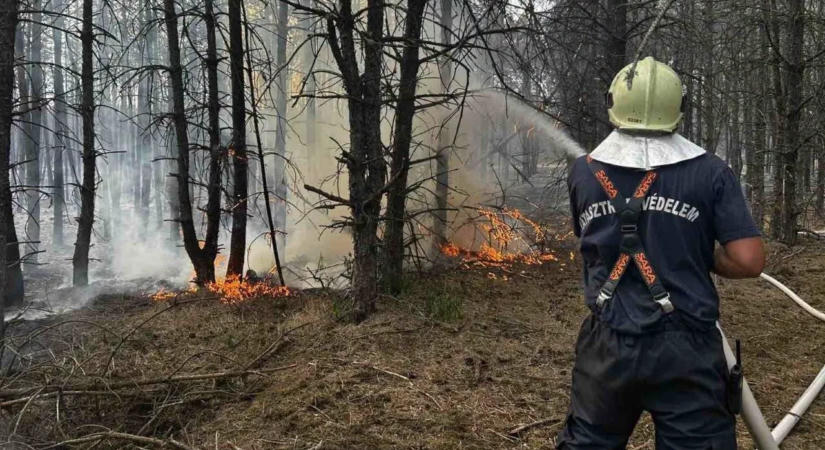 Tarló- és bozóttüzek pusztítanak több vármegyében