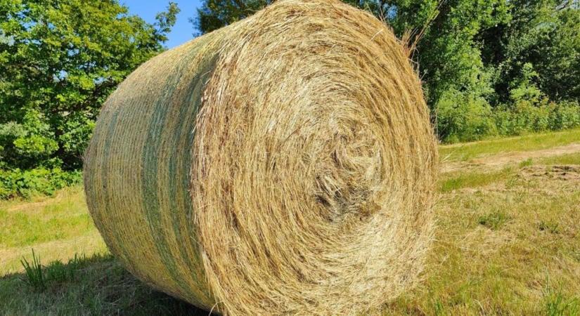 Kifizette a szénát, de hiába várta: csaló vágta át a gazdát