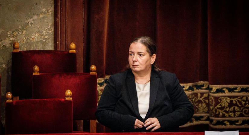 Unger Anna nyilvánosságra hozza az NVVH elnöki posztjára beadott pályázati anyagát