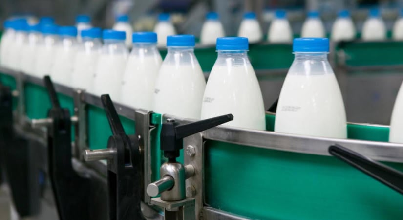 Kritikus fél év jön a magyar boltokban: bajban a tejágazat, elárasztja az országot az import