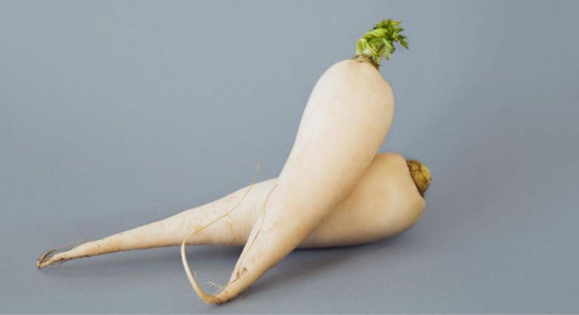 Daikon retek betakarítása és tárolása
