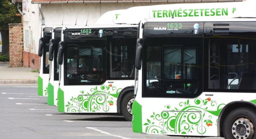 Felszállt egy csapat nő a tapolcai buszra, ami ezután történt, a sofőr napját is megváltoztatta