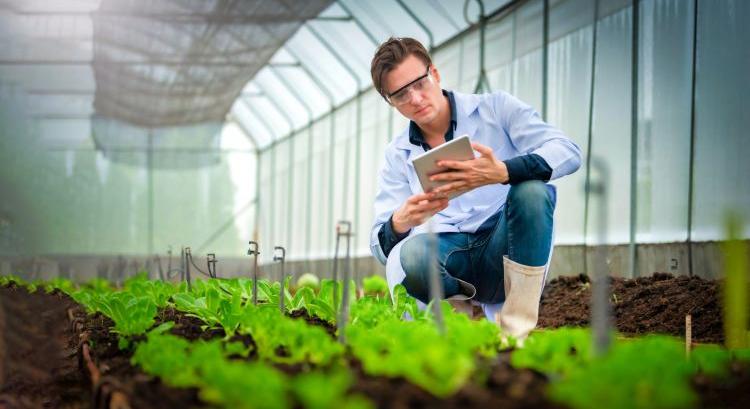 Mentorálással segíti az innovátorokat az ÖMKi