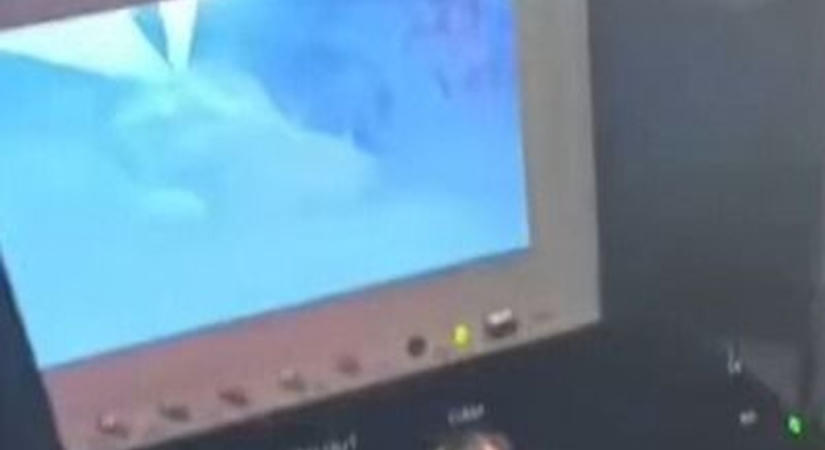 Hét kölyökkutya rekedt egy tolnai vízelvezető csatornában – videón a mentés