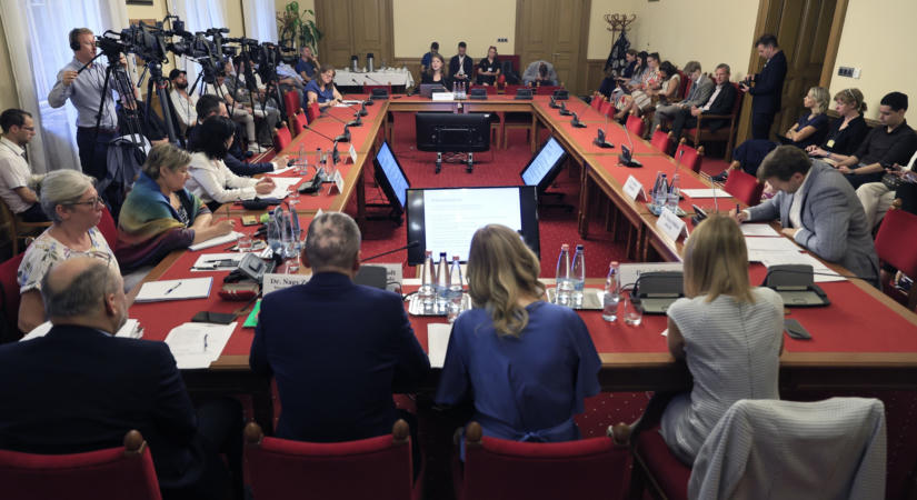 „Tegyél magadért, mert más nem tesz” Magukra hagyott gyerekek, megfélemlítés, erőszak a gyermekvédelmi jelentésben