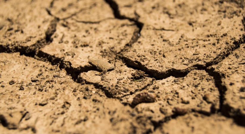 Aszály miatti könnyítés a gazdálkodóknak: új, automatikus vis maior szabályok léptek életbe