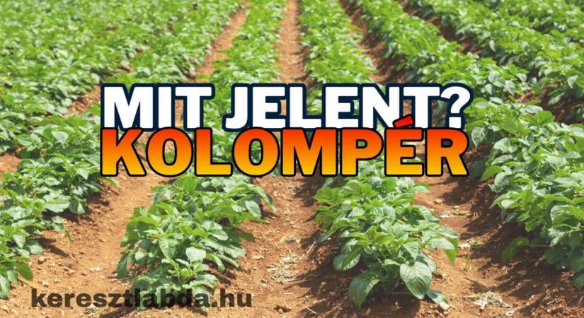 Tájszólás feladat: ha a nagyapád kolompért emlegetett, mire gondolt?