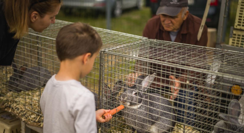 Vasárnap ismét megtelik élettel Mezőtúr, visszatér a népszerű program