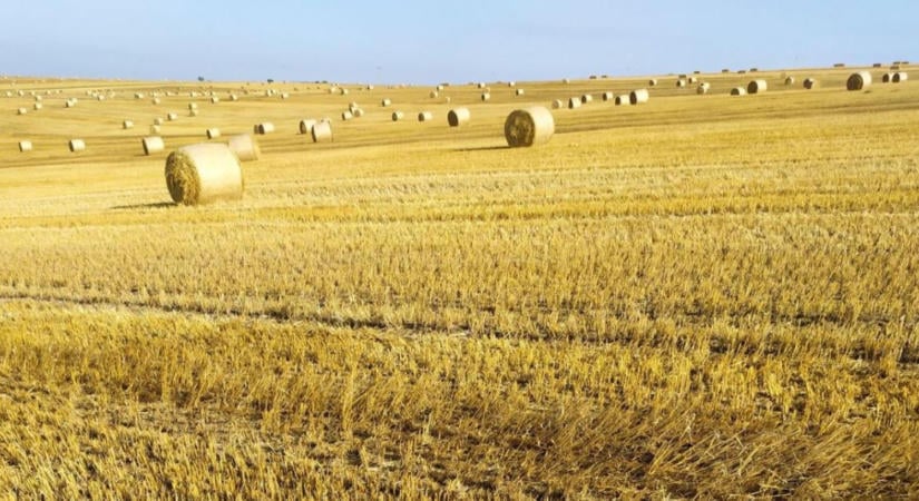 Tarlóápolás aratás után: hogyan őrizhető meg több nedvesség a talajban?