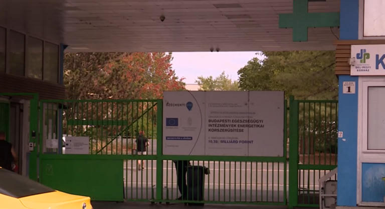 „Beköpte a légy” – mondta az ápoló egy nőnek, akinek beteg férje alsótestén hemzsegtek a kukacok