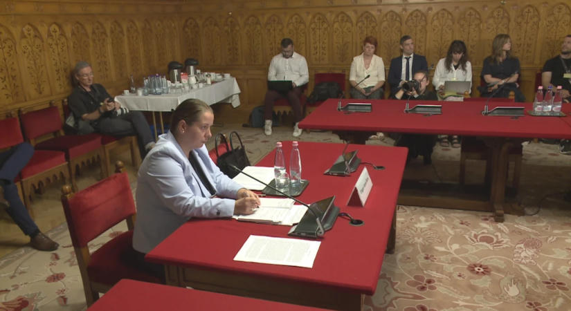 Elemzők Unger Anna kinevezéséről