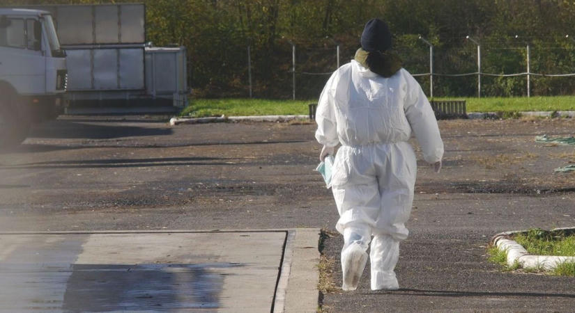 Már a szomszédban is felütötte a fejét a halálos kór – fokozott óvatosságra intik a gazdákat