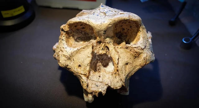 Módosíthatják az emberi evolúció biológiai osztályozási rendszerét