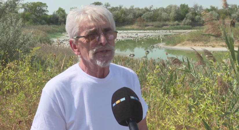 Halmokban áll a gumiabroncs egy majdnem kiszáradt tóban Szegednél